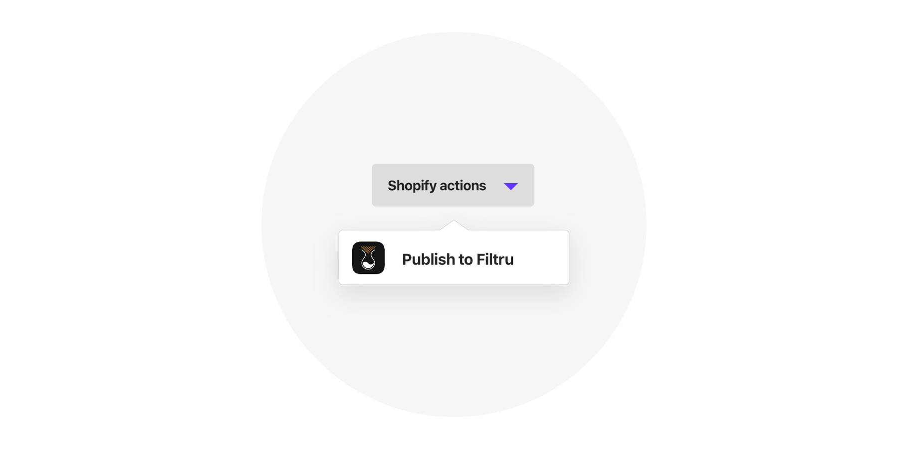 Publish to Filtru from your Shopify app